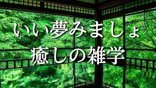 短い睡眠でも朝スッキリ！穏やかな雑学で癒やされながら質の高い眠りを…