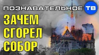 Зачем сожгли собор Парижской богоматери? (Познавательное ТВ, Артём Войтенков)