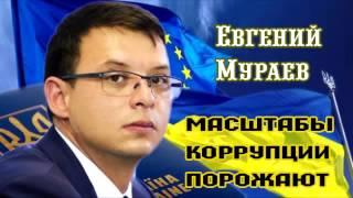 Евгений Мураев – Масштабы кoppупции поражают