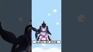 샤이릴리 TMI 10가지 5