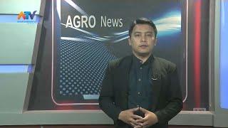 AGROPOLITAN NEWS EDISI RABU 06 SEPTEMBER 2023 | ATV MALANG RAYA