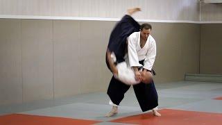 Aikido - Guillaume Erard at Le Cercle Christian Tissier (Paris, June 2016)