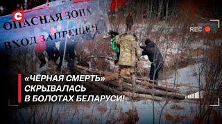 Сумасшедшая находка! В болоте обнаружили военный самолёт! | Историки взялись за головы