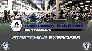 OneOnOne Kicking - New England Patriots NFL  Punter Corliss Waitman - Stretching Exercises