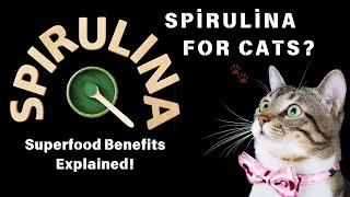 What is Spirulina?|  A Beneficial, Natural Superfood for Cats