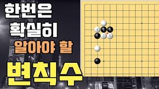 [바둑랩강좌 변칙수] 한번은 확실히 알아야 할 변칙수