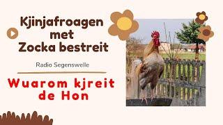 Wuarom kjreit de Hon | Plautdietsch | Plattdeutsch | Low German