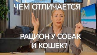 В ЧЕМ РАЗЛИЧИЕ РАЦИОНА У СОБАК И КОШЕК?