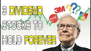 3 Buy and Hold FOREVER Dividend Stocks! | Deep Dividends