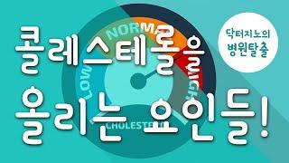 [심혈관] 콜레스테롤 수치가 높아지는 원인은 무엇일까요?