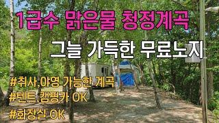 [홍천계곡추천]청정1급수 계곡 옆 그늘가득한 무료노지 /홍천군에서 관리하는 계곡