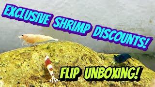 Exclusive Shrimp Discount Code for Flip Aquatics - Unboxing 5  Strains of Crystal & Taiwanese Bee