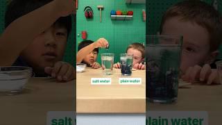 Salt-water trick | chemistry experiment at home with food coloring