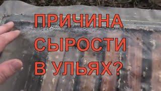 Почему появляется сырость в ульях?