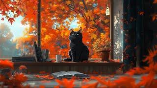 Enjoy Cozy with My Cat lofi autumn ~ lofi hip hop radio  beats to sleep/chill to