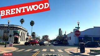 BRENTWOOD CALIFORNIA, ( Driving Downtown ) 4K