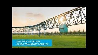 Specifics of cargo transport complex SkyWay