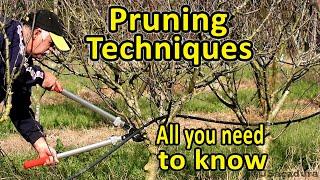 Pruning Fruit Trees | Pruning Techniques | Essential Pruning Course