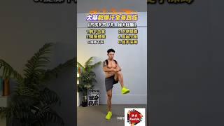 快音健身-大基数爆汗全身跟练#健康好生活 #健身干货 #训练笔记