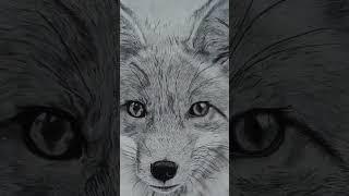 How to draw a realistic drawing