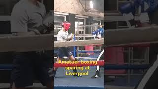 amateur boxing sparing at Liverpool