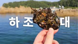 [4K] 여기가 양양 스노클링 성지인 이유 (자연산 전복, 해삼, 성게, 참게 잡기)