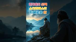 현자들의 선택, 소크라테스의 삶의 지혜 #명언 #좋은글 #지혜 #동기부여 #인생조언