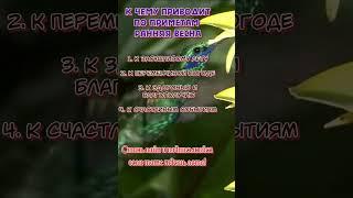 К чему приводит ранняя весна  lrbailey79  #гороскоп #astrology #астрология