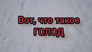 Вот, что такое ГОЛОД!!!