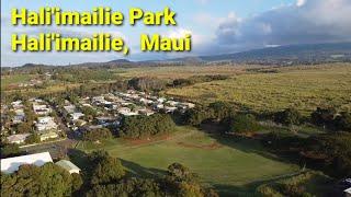 Welcome to Hali'imailie Park and surrounding area