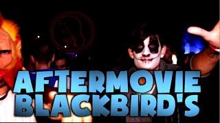 AFTERMOVIE BLACKBIRD'S - Creado por SnyderYT