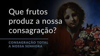 Que frutos produz a nossa consagração? (Consagração Total a Nossa Senhora.17)