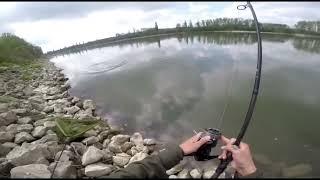 Carpfishing Fiume Pó!! Partenze sui sassi- #TKFT_@1.2023