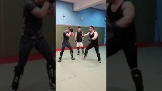 Mirko Cro Cop | high kick lesson