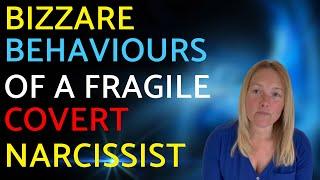 Bizarre Behaviours Of A Fragile Covert Narcissist