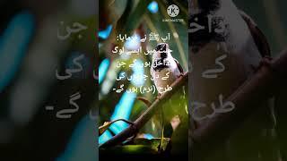 Pyare Nabi ﷺ ki pyari batein||Rasool Allah ﷺ ki batein#hadees #hadith #shortsfeed #shorts #viral