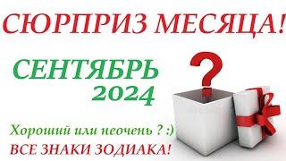 СЕНТЯБРЬ 2024 Сюрприз месяца для вас! ВСЕ знаки зодиака Чем удивит поразит  вас месяц!