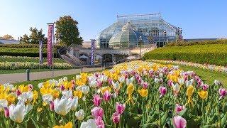 Welcome to Phipps Conservatory and Botanical Gardens