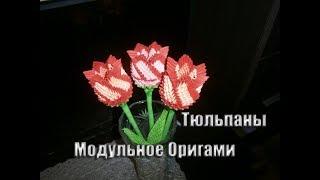 Модульное Оригами. Цветы из оригами модулей. Тюльпаны Оригами.