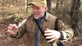 Feather Identification