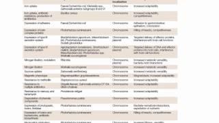 Bio305 Bacterial Genome Dynamics and Evolution