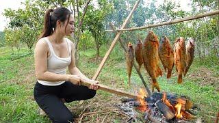 Catch big fish to cook survive by picking wild fruits in the forest, peaceful life.harvest