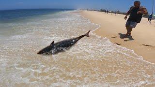 INACREDITÁVEL!!! ELE FISGOU um PEIXE ENORME na PESCA DE PRAIA com INCRITOS.