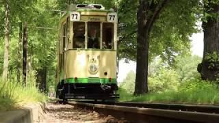 Straßenbahn Magdeburg: Fahrt duch den Herrenkrug zum Rathaus