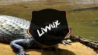 Avicii - Crocodile Tears (vs. Ain't a Thing) ft. Livvux