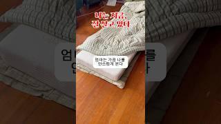 누가 뭐래도, 나는 잘 살고있다 #40대브이로그 #미국생활 #자립 #자존감지키기