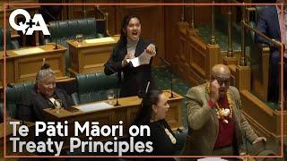 Debbie Ngarewa-Packer: Why she’s so strongly against Treaty Principles Bill | Q+A 2024