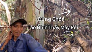 Lần Theo Con Ong Hoảng Hồn Bị Người Khuất Mặt Dẫn Đến Căn Nhà Hoang Rùng Mình Lạnh Cả Người