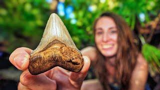 Our BEST Shark Tooth Hunt in AGES! Just Before Hurricane Helene Hits ️