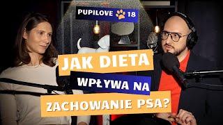 Jak dietą wpłynąć na ZACHOWANIE psa? Ekspertka wyjaśnia dr Karolina Hołda,specjalistka żywienia psów